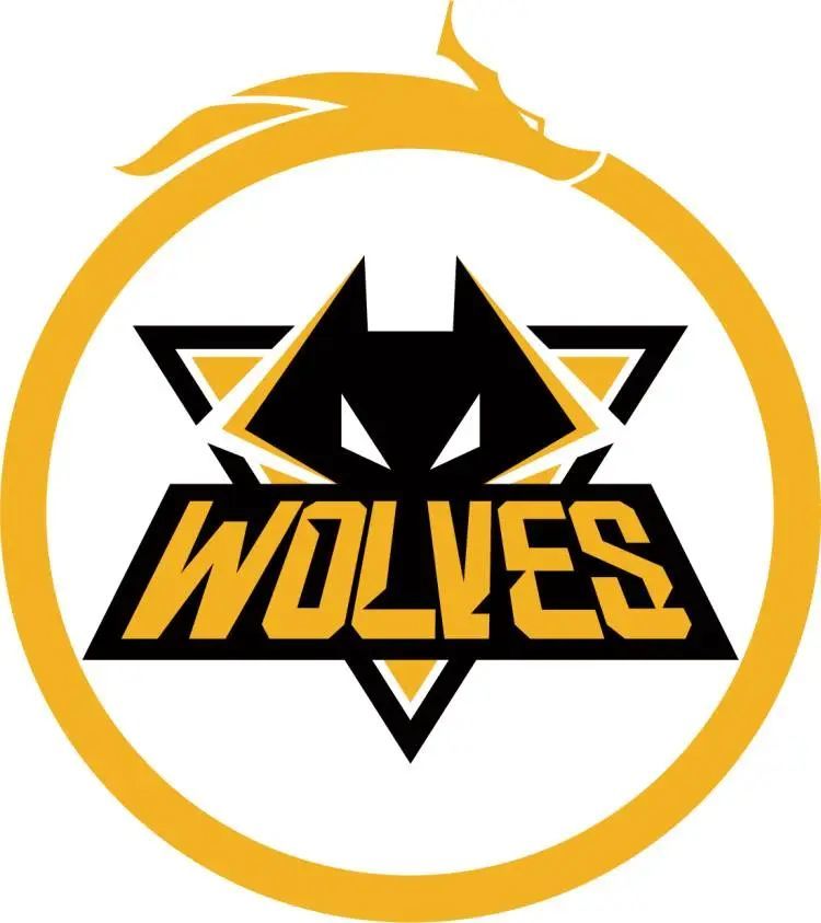 传闻：NiP 正在计划大规模的阵容变动：Snappi、sjuush、ewjerkz 和 arrozdoce 可能会加入